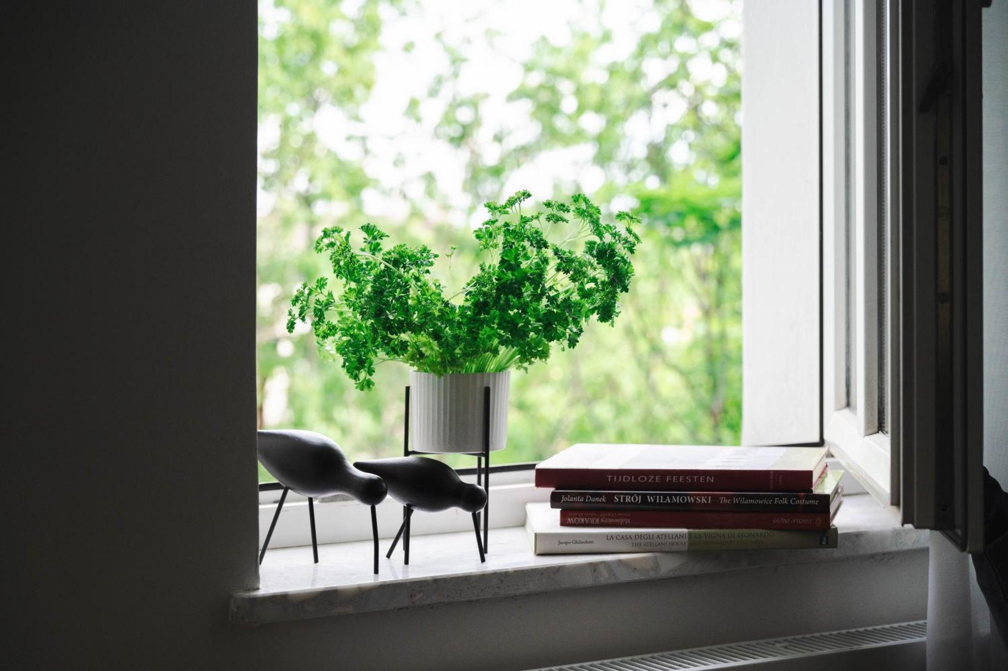 Copernicus House Apartman Krakkó Kültér fotó
